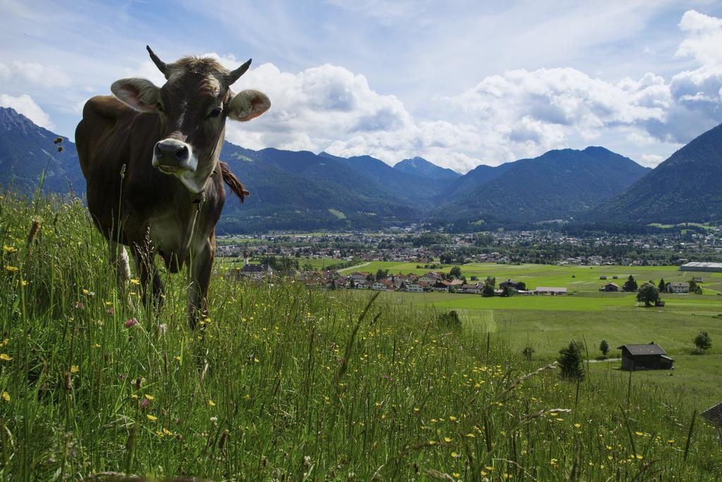 Hotel Zum Schwanen Reutte